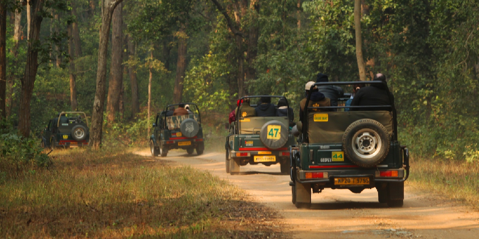 MPforestTourism Jeep Safari banner