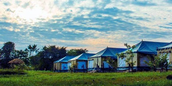 Hotels in Panna National Park