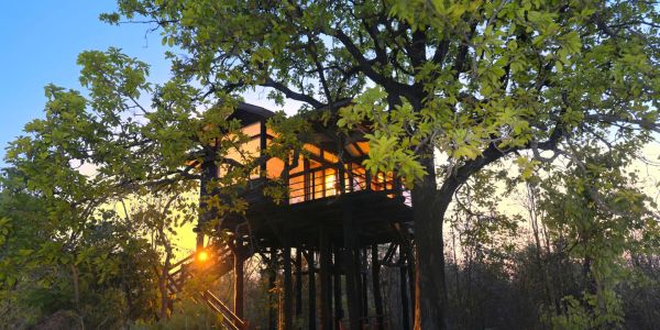 Hotels in Pench National Park