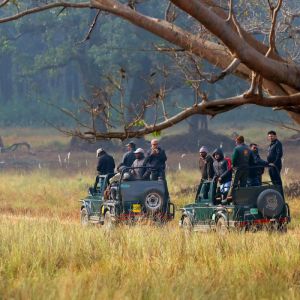 Bandhavgarh National Park Jeep Safari