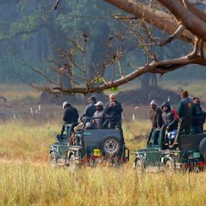 From Khajuraho: Panna National Park Jeep Safari Tour